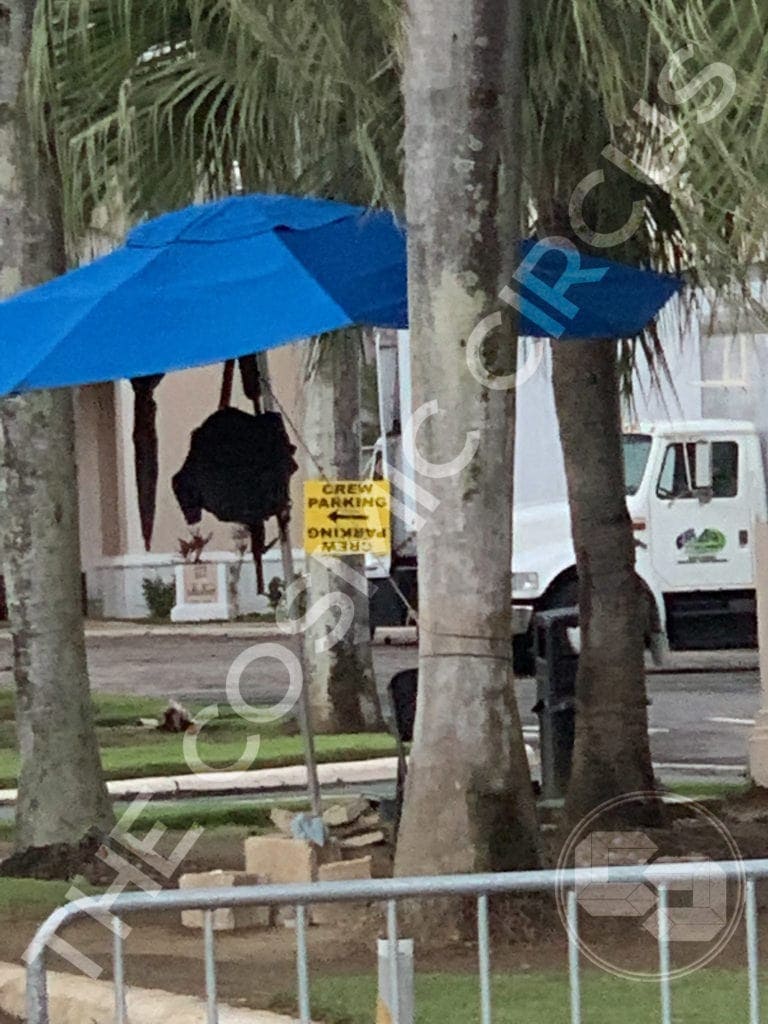 Where In Puerto Rico Was Replicas Filmed Details on 'Black Panther: Wakanda Forever' filming in Puerto Rico