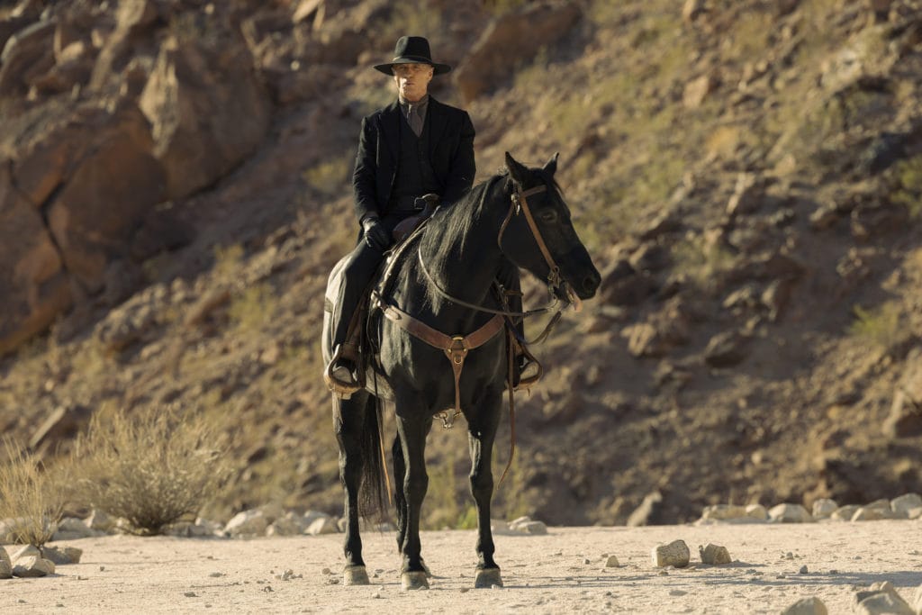 Ed Harris - Westworld (HBO)