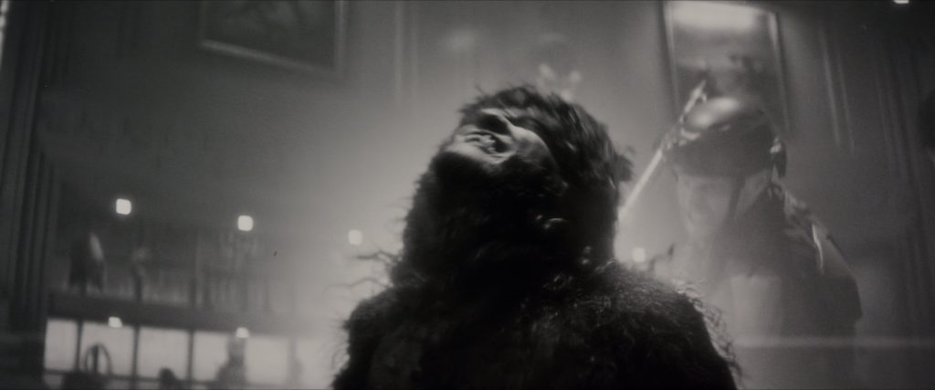 Werewolf by night Jack Russell